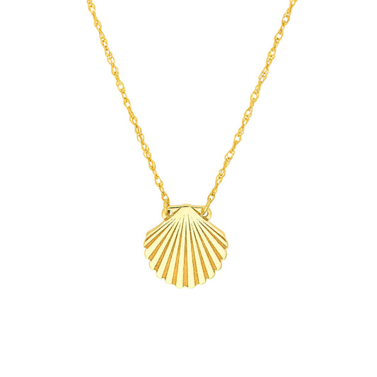 Dainty Shell Necklace
