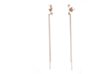 Load image into Gallery viewer, The Starry Drop Earrings

